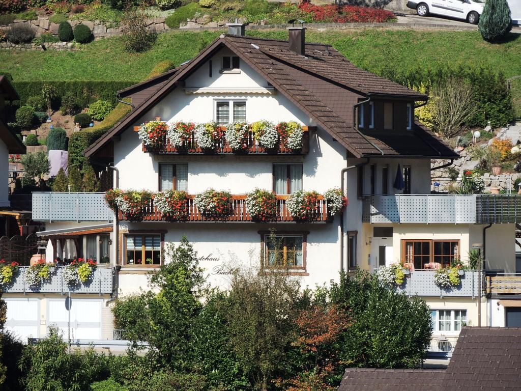 Gaestehaus Und Ferienwohnung Baechle Bad Peterstal-Griesbach Luaran gambar