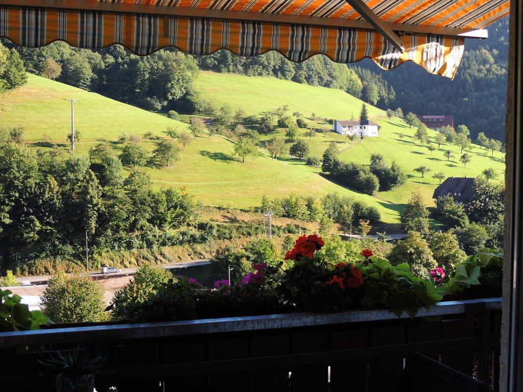 Gaestehaus Und Ferienwohnung Baechle Bad Peterstal-Griesbach Luaran gambar